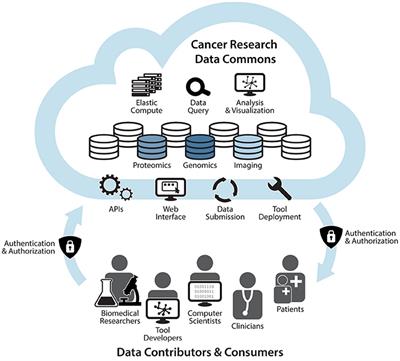 A Comprehensive Infrastructure for Big Data in Cancer Research: Accelerating Cancer Research and Precision Medicine